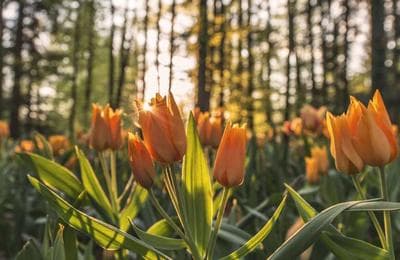 Cyprus - our first region