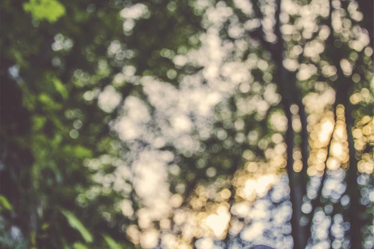 Test Apartment 301 Agent Paphos 4